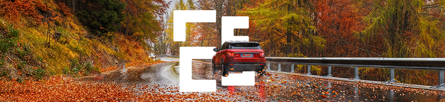 Colorful autumn leaves scattered across a winding road with a red Range Rover driving down it