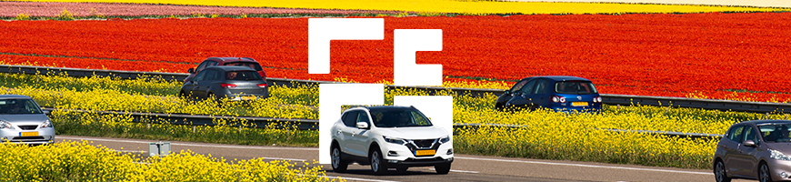 Cars driving on a road in the Netherland bordered by yellow, red, and purple flower fields and wind turbines in the background