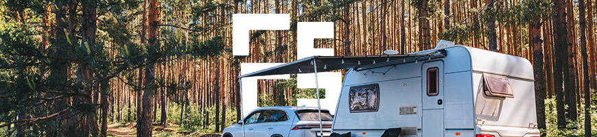 A touring caravan parked in a forest amongst trees and foliage