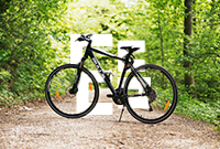 Bicycle parked in the middle of a path in the middle of a forest in summer