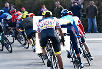 A group of cyclists racing on bikes with colorful jerseys and helmets