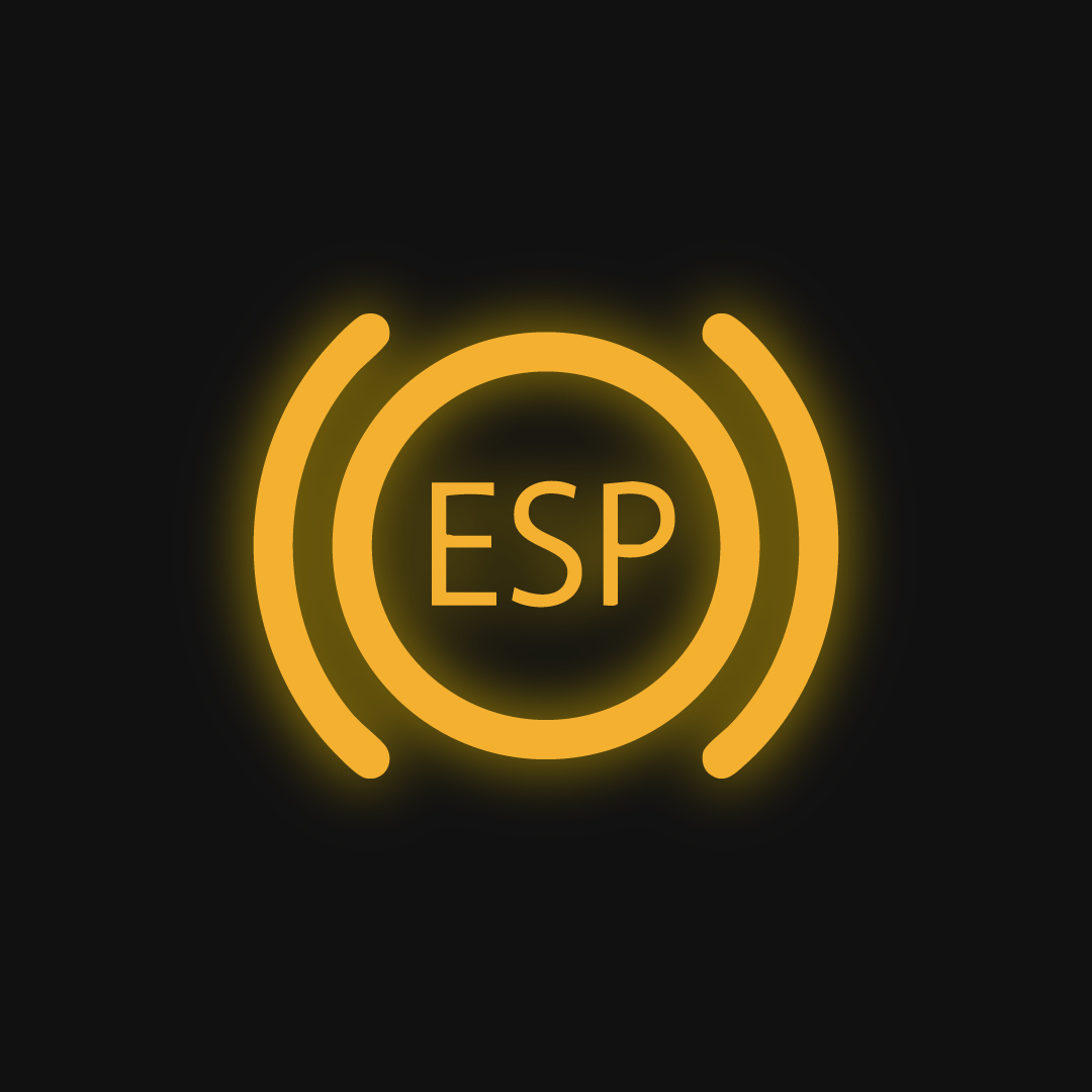 Electronic Stability Programme (ESP) Warning Light