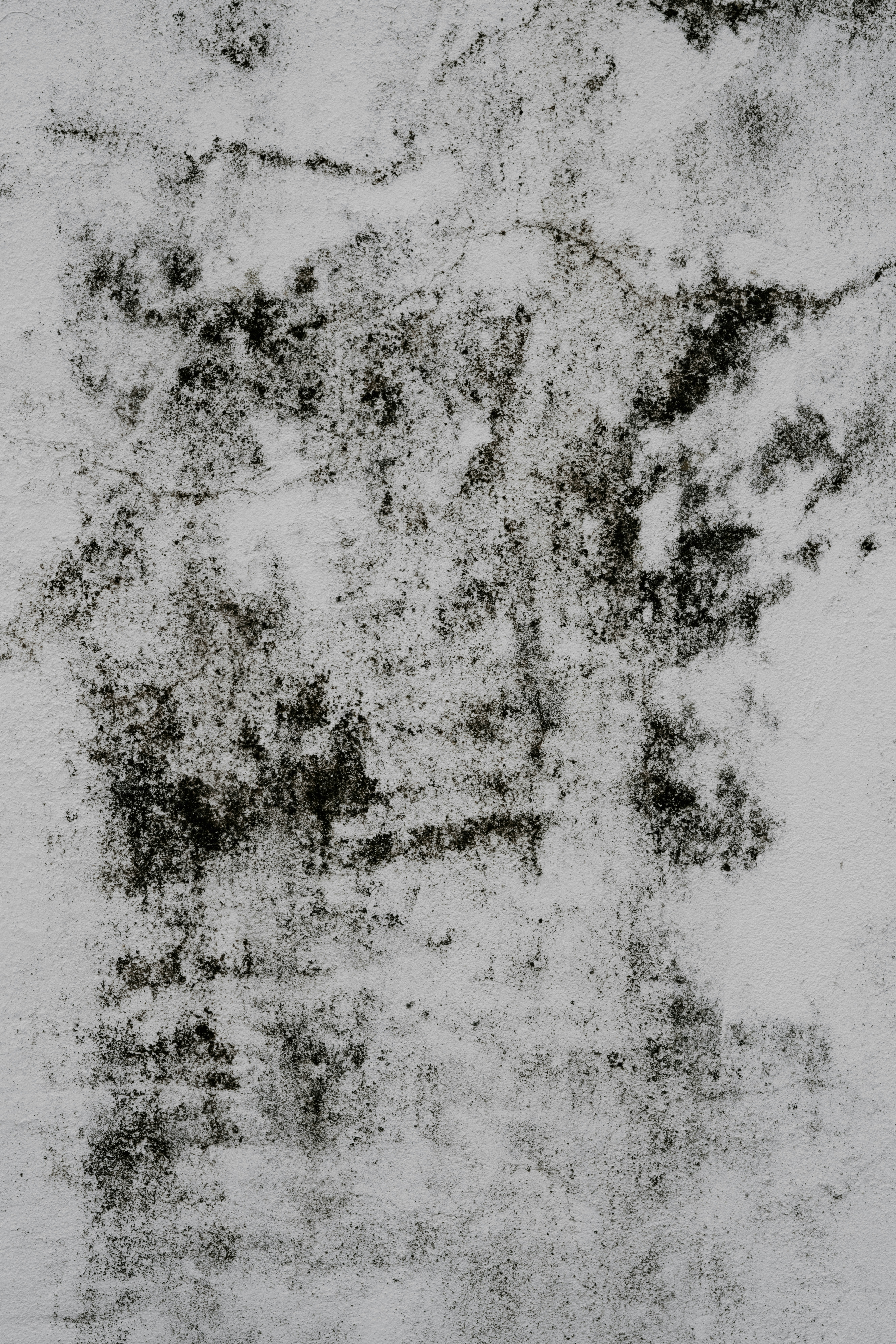 Mouldy wall