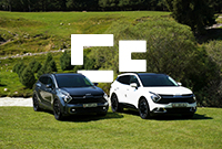 A grey and white car parked side by side on grass with a grassy verge behind